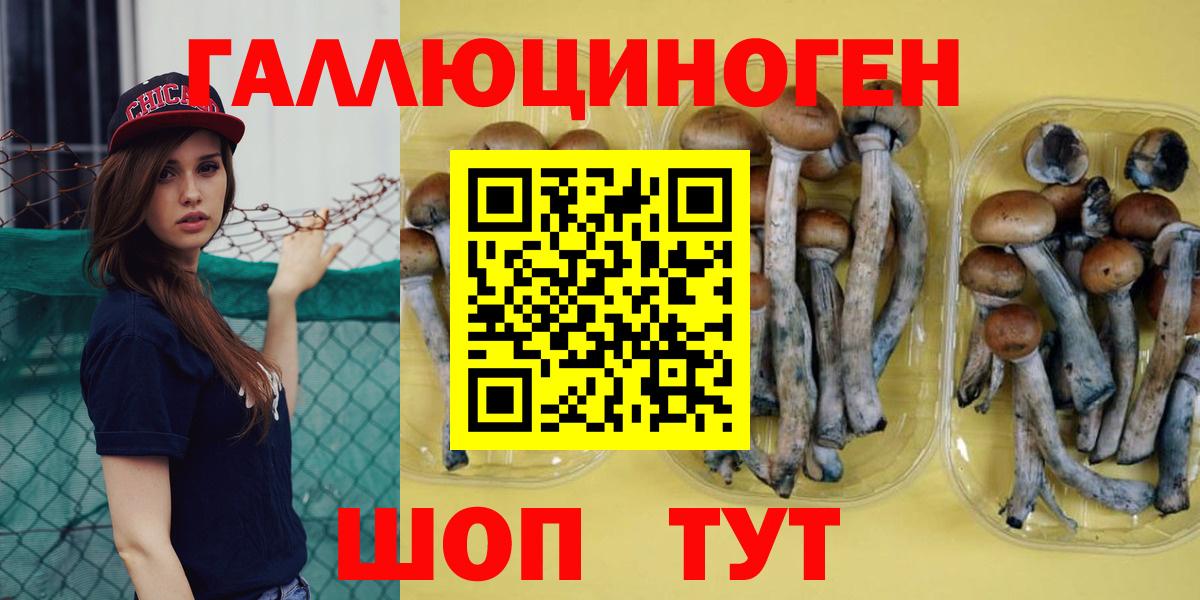 Псилоцибиновые грибы мицелий Касимов
